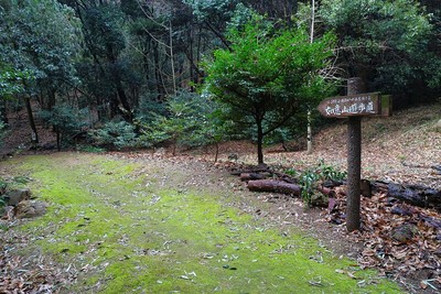 如意山遊歩道