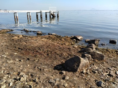 琵琶湖の水位下降で姿を現した石垣跡