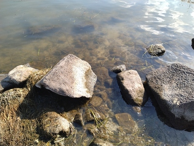 琵琶湖の水位下降で姿を現した石垣跡(胴木含む)