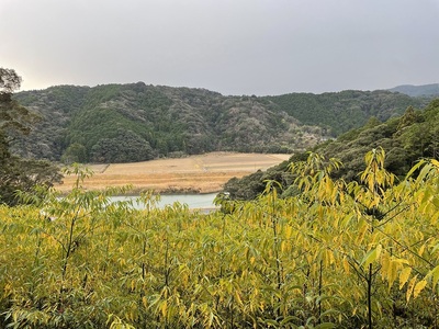 城址前の登り途中にあります。