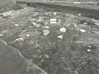 2024年1月 新たに発見された坂本城三の丸(推定)跡の建物礎石