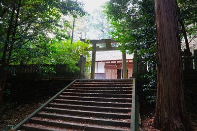 滝宮神社（東側）