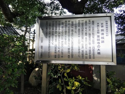 鯏浦城、大楠の説明板