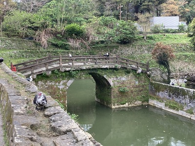 首里城　天女橋