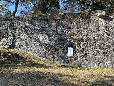 鐘の丸の石垣(南側)