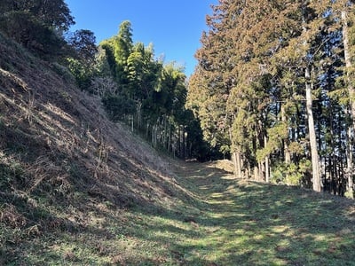 主郭北東部の切岸