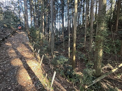 主郭北の空堀