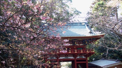 楼門と早咲きの桜