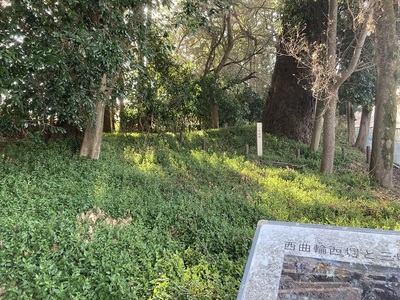 小田原城　八幡山古郭