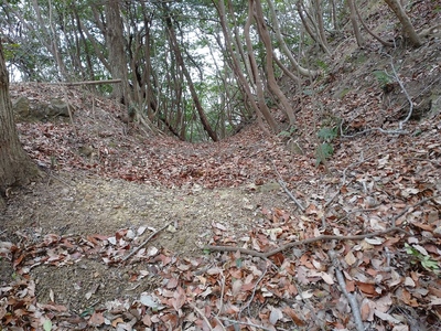 堀切と土橋