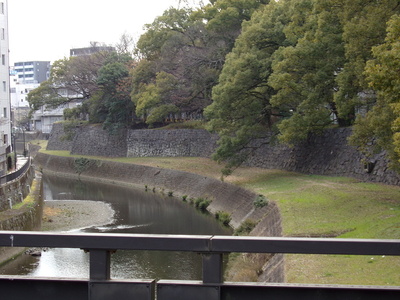 坪井川沿いの石垣