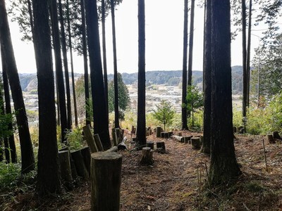 登城途中に城下を見る