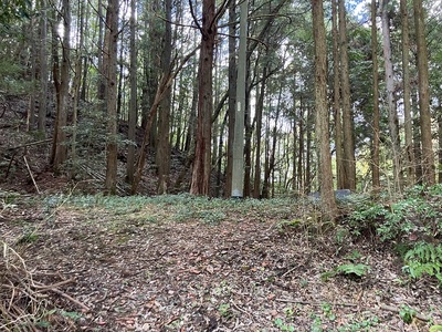 鶏足城・登城口