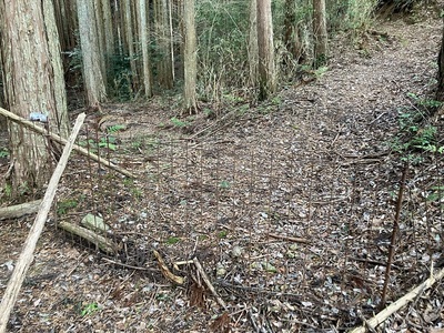 鶏足城・防獣柵その①