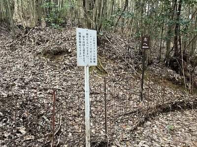 鶏足城・防獣柵その②