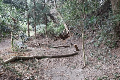 主郭と２郭間の空堀