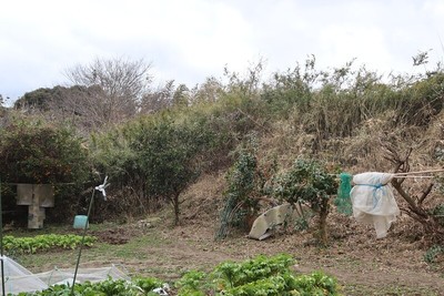 ２郭と３郭間の空堀