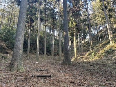 本丸への登城路