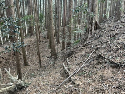 三の丸の空堀