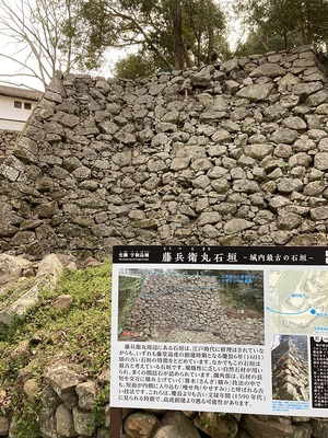 藤兵衛丸石垣