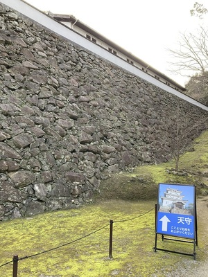 藤兵衛丸南角櫓跡