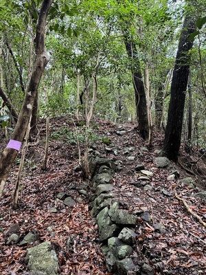 主郭登り口