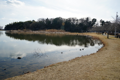 大百池から城東端の崖線