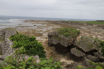 石垣と海岸