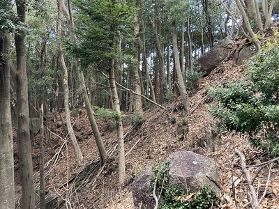 鶏足城・四の郭と本郭切岸