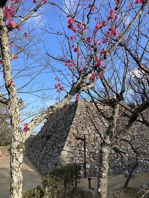 三熊梅園より