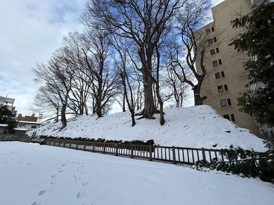 三の丸土塁跡