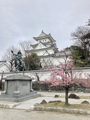 天守と戸田氏鉄公騎馬像