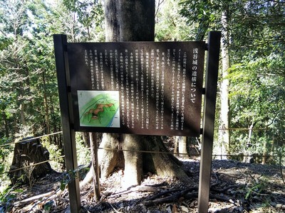 説明板（浅谷城の遺構について）