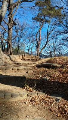 西曲輪跡