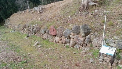 城主居館跡 最下段石垣