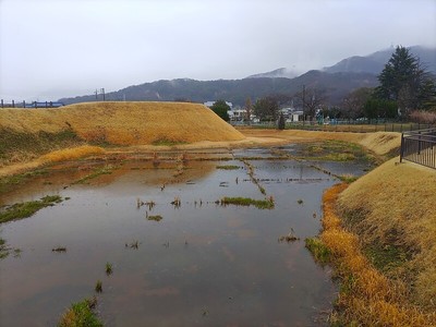 東堀（北側）と本丸土塁