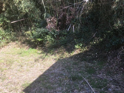 常禅寺・白山神社境界の西側の土塁