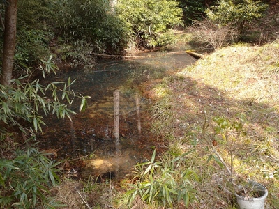 堀の池部分