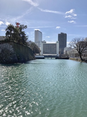 水堀と福井市街