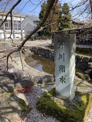 芹川用水