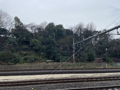 王子飛鳥山