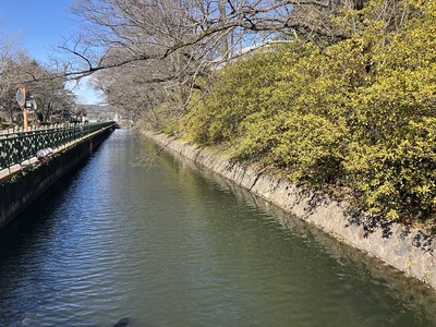 三の丸の門の西側の水堀