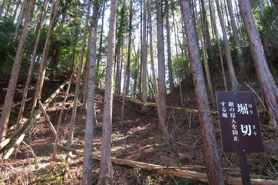 浅谷城 登城路付近から見上げた堀切