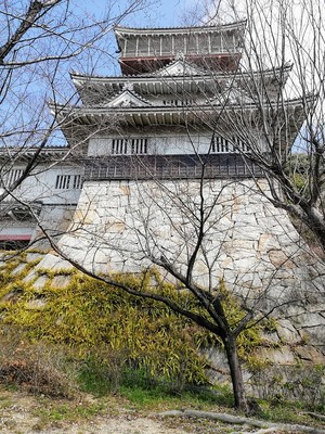 展望塔岩崎城(南側から)