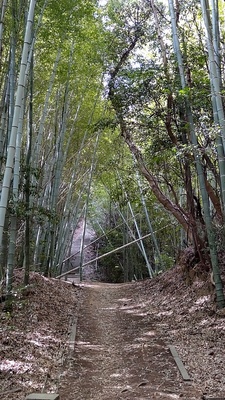 登城道