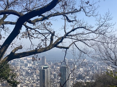 中腹より神戸港