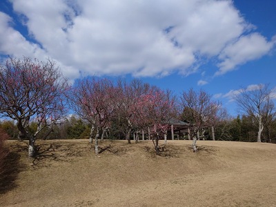 主郭風景