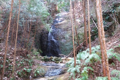 御作城 北からのルート付近の滝