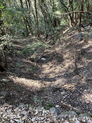 七曲り登山道より(竪堀)