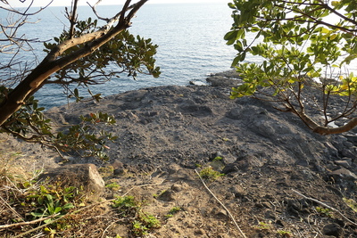 岬の西端の岩礁